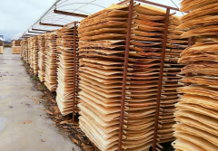 广西建筑模板的单板存储是怎样的